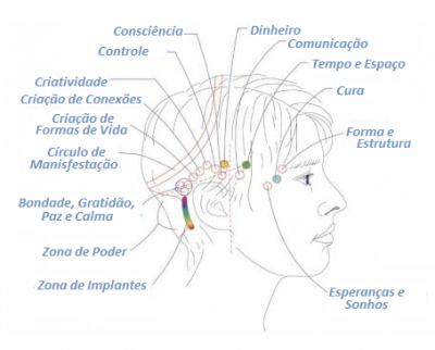 As Barras são linhas que ligam e ativam pontos de energia na nossa cabeça. Estes pontos alojam os componentes eletromagnéticos (energia) de todos os pensamentos